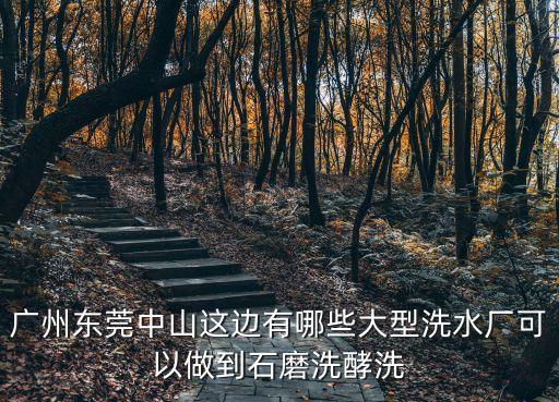 東莞大型泡水車廠，東莞茶山金沙彎有什么好廠