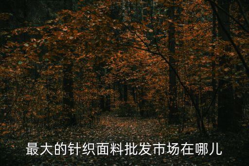 最大的針織面料批發市場在哪兒