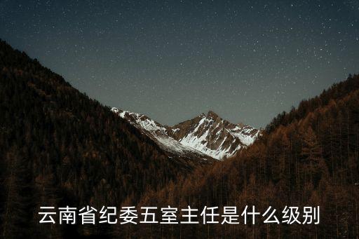 云南省紀委五室主任是什么級別