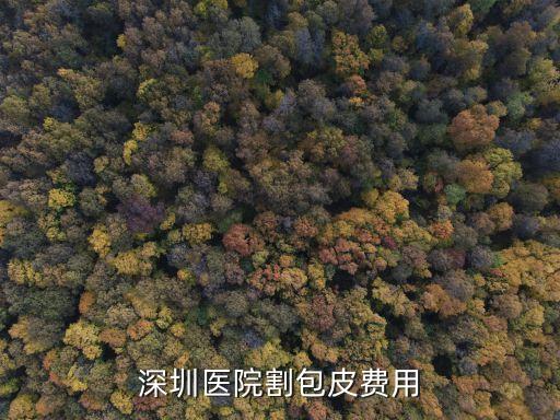 深圳醫院 洗腸，深圳哪家醫院做腸境預約時間短一點呢