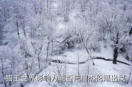 257248,周杰倫世界十大天才音樂人名單公布后網民狂贊