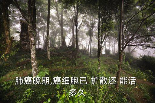 腫瘤擴散還能活多久,腫瘤癌細胞已擴散還能活多久?淋巴瘤晚期擴散也能活