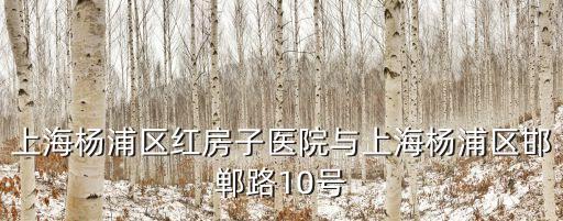 上海楊浦區紅房子醫院與上海楊浦區邯鄲路10號
