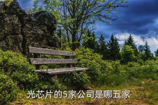 光芯片的5家公司是哪五家