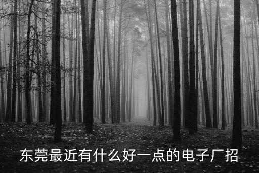東莞石排鎮有哪些比較正規的工廠，誰告訴我東莞石排鎮人民醫院旁都有哪些電子廠呀