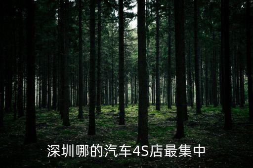 深圳哪的汽車4S店最集中