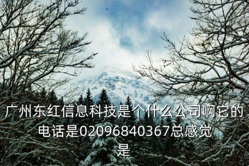 廣州東紅信息科技是個什么公司啊它的電話是02096840367總感覺是