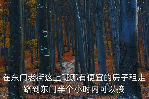 深圳東門老街租房信息，深圳東門街鋪的租金大概多少錢