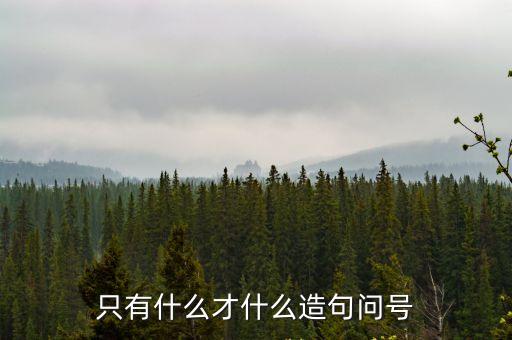 只有什么才什么造句問號