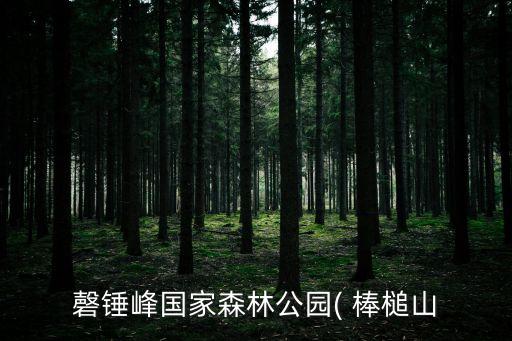 磬錘峰國家森林公園( 棒槌山
