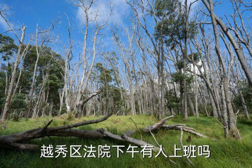 越秀區法院下午有人上班嗎