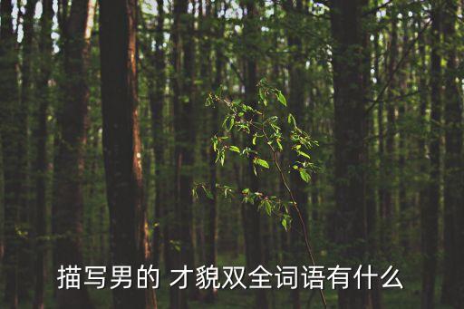 描寫(xiě)男的 才貌雙全詞語(yǔ)有什么