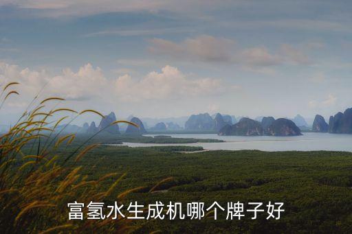 富氫水生成機哪個牌子好