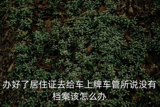 深圳車管所不保管檔案，在深圳市考的駕照在本地查不到檔案怎么辦