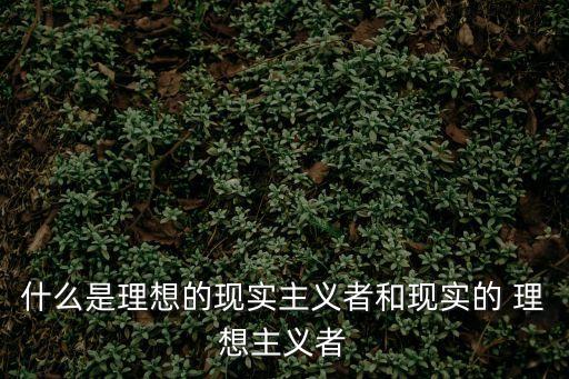 什么是理想的現實主義者和現實的 理想主義者