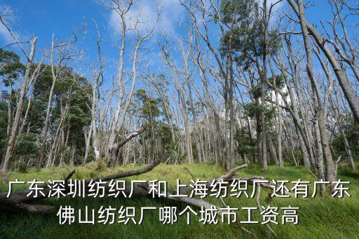 廣東深圳紡織廠和上海紡織廠還有廣東佛山紡織廠哪個城市工資高