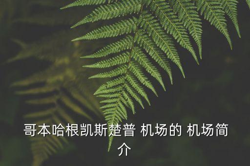  哥本哈根凱斯楚普 機(jī)場的 機(jī)場簡介