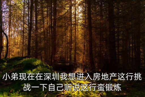 小弟現在在深圳我想進入房地產這行挑戰一下自己聽說這行蠻鍛煉