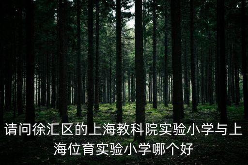 上海市教科院   張玨，教育科學疑難