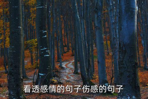 看透感情的句子傷感的句子