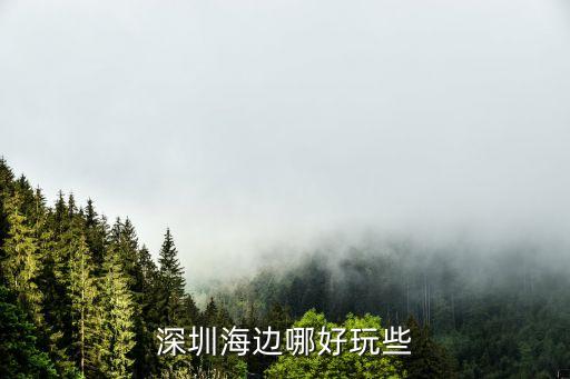 深圳官湖海灘游玩攻略，想問問深圳有什么海灘好玩的或者其它別的景區也可以主要是