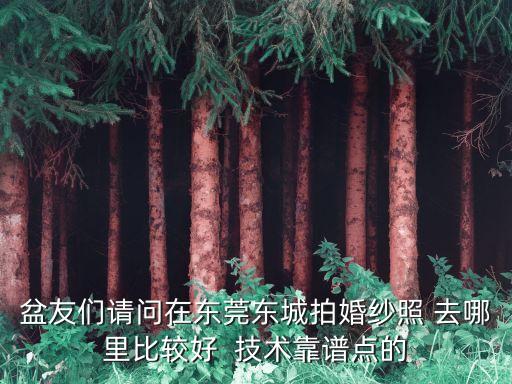 東莞高峰結(jié)婚視頻，花漾婚禮影像在哪里