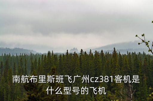 南航布里斯班飛廣州cz381客機是什么型號的飛機