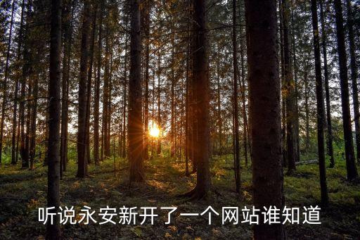 聽說永安新開了一個網站誰知道