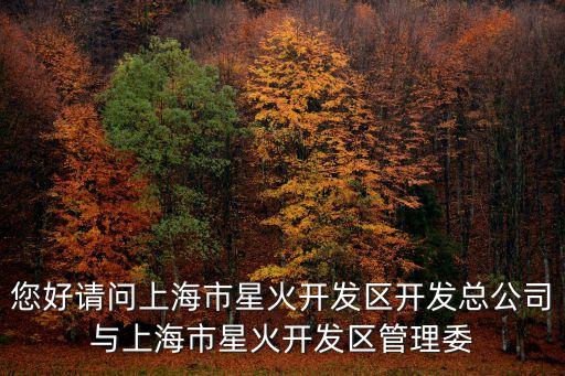 您好請(qǐng)問(wèn)上海市星火開(kāi)發(fā)區(qū)開(kāi)發(fā)總公司與上海市星火開(kāi)發(fā)區(qū)管理委