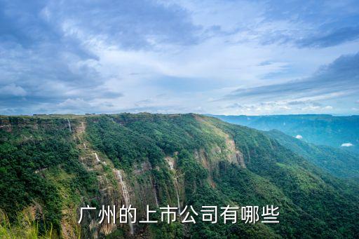 廣州黑石數碼上市公司，廣州的上市公司有哪些