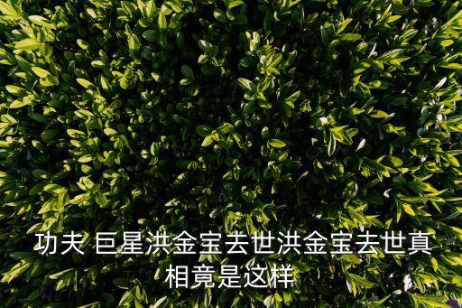  功夫 巨星洪金寶去世洪金寶去世真相竟是這樣