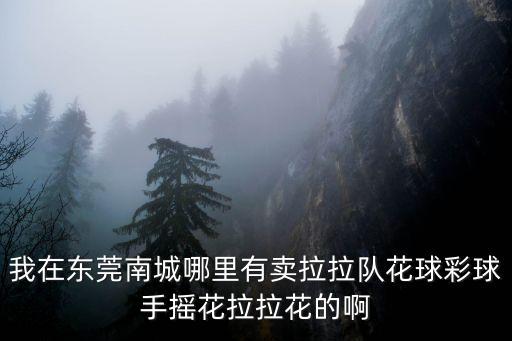 手捧花東莞，我在東莞南城哪里有賣(mài)拉拉隊(duì)花球彩球手搖花拉拉花的啊