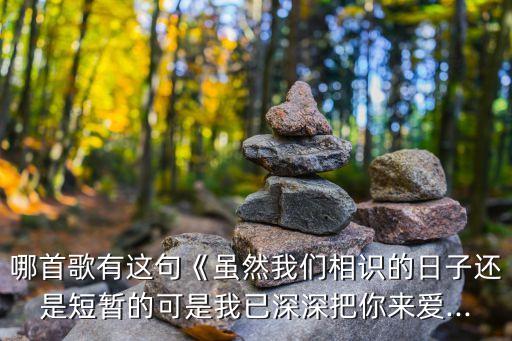 愛到花開,歌詞有句我愛你愛到海枯石爛愛到花開