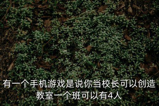 有一個手機(jī)游戲是說你當(dāng)校長可以創(chuàng)造教室一個班可以有4人