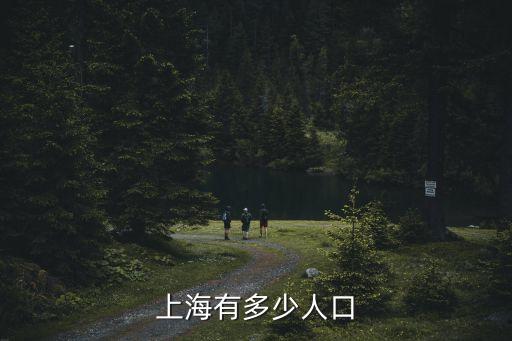 上海有多少人口