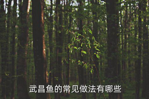紅燒武昌魚的做法