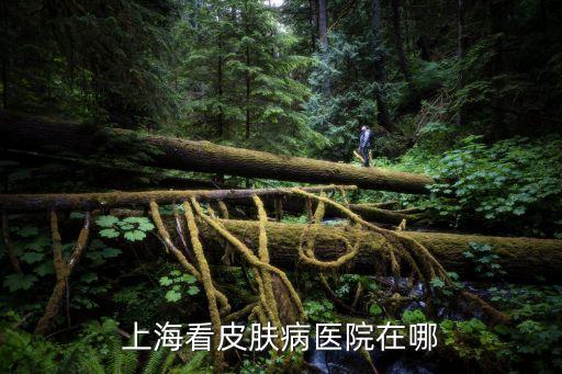 上海市皮膚病醫院在哪里，上海皮膚病醫院地址