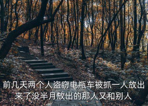 前幾天兩個人盜竊電瓶車被抓一人放出來了沒半月放出的那人又和別人