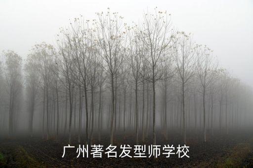廣州著名發(fā)型師學(xué)校