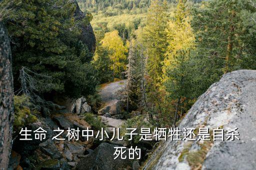 生命之樹電影,生命之樹續集:奧布萊恩家二兒子溺斃公共游泳池