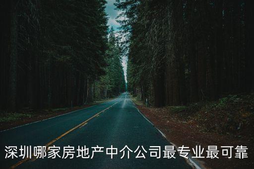 深圳哪家房地產(chǎn)中介公司最專業(yè)最可靠