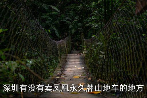 深圳有沒有賣鳳凰永久牌山地車的地方