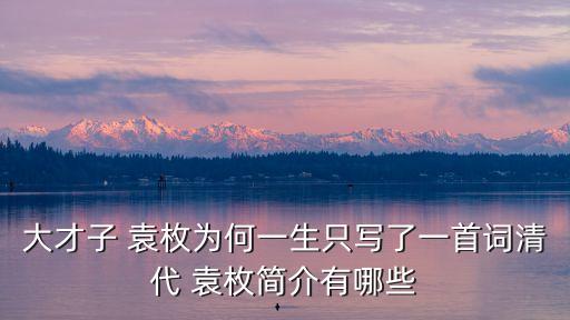袁枚簡介,袁枚與紀(jì)曉嵐并稱南元北朝