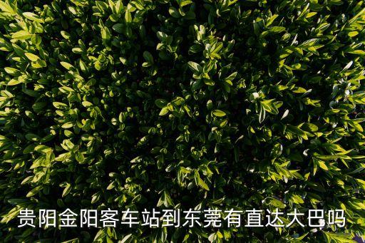 貴陽金陽客車站到東莞有直達大巴嗎