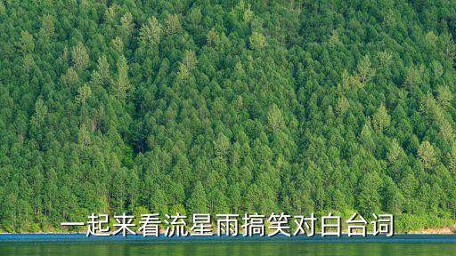 一起來看流星雨搞笑對白臺詞