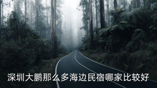 深圳大鵬民宿招聘，深圳大鵬那么多海邊民宿哪家比較好