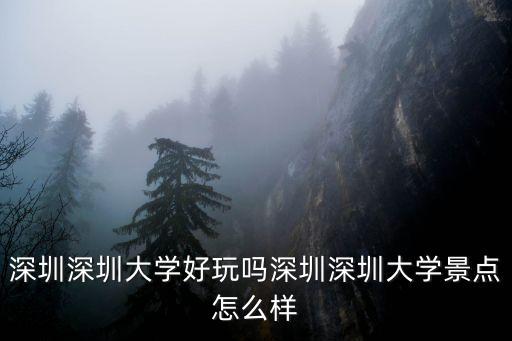 深圳深圳大學好玩嗎深圳深圳大學景點怎么樣