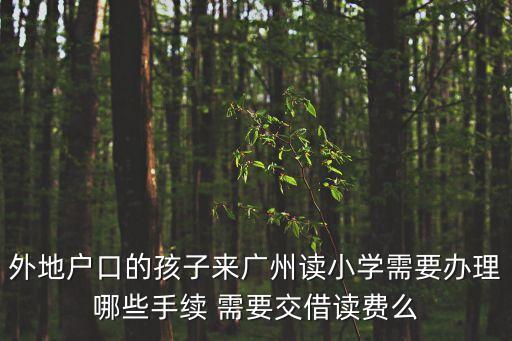 2017外地戶口在廣州上小學，外地戶口的孩子來廣州讀小學需要辦理哪些手續 需要交借讀費么