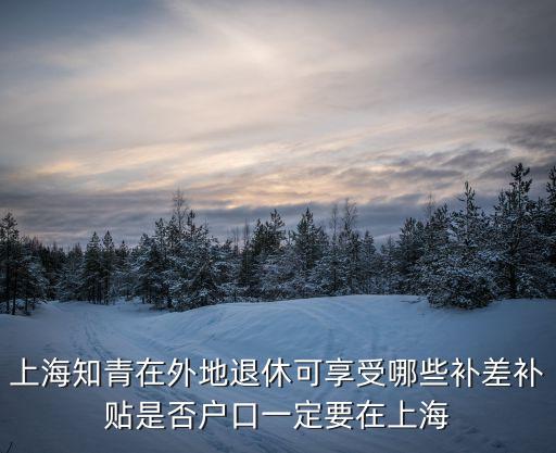 上海市 資金來源 補助 項目，上海市寶山區的專利資助項目有哪些