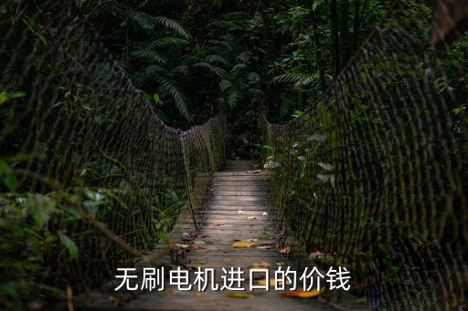 無刷電機進口的價錢